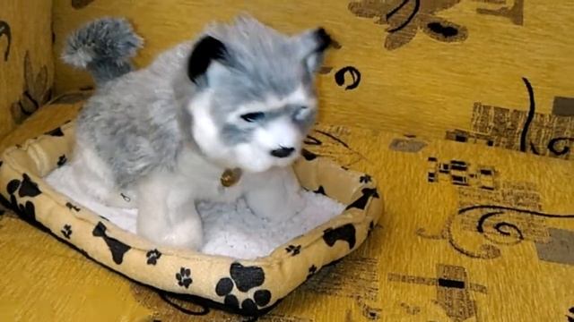 Интерактивный щенок Хаски. Выглядит, как настоящий питомец! смотреть онлайн