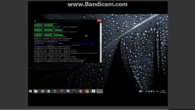 Cara instalasi wordpress di ubuntu Server смотреть онлайн