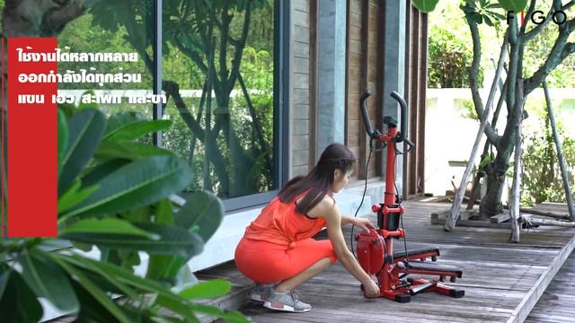 FIGO Twist Stepper เครื่องออกกำลังกาย By Luckywayshop