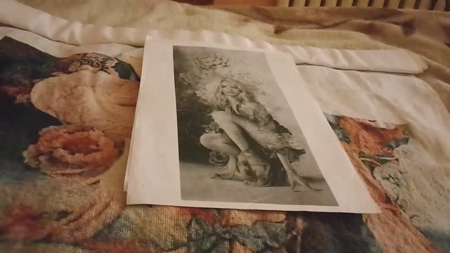 Проект по авторской схеме от Иволги "Виктория" отчет 67 смотреть онлайн