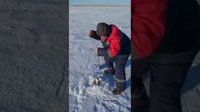 9 декабря 2018 озеро Кокай. Щука. смотреть онлайн