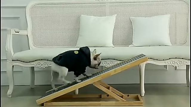 Пандус прикроватный для собак и кошек смотреть онлайн