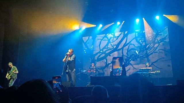 Танцы минус- 10 капель (Live in Vladivostok, 16.09.2023) смотреть онлайн