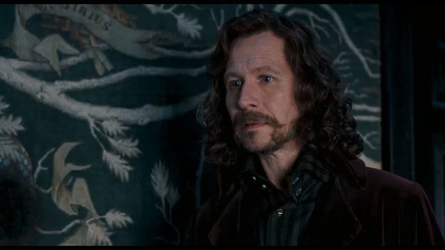 Гарри Поттер и Орден Феникса - Гарри и Сириус. Когда всё это закончится мы станем настоящей семьёй смотреть онлайн
