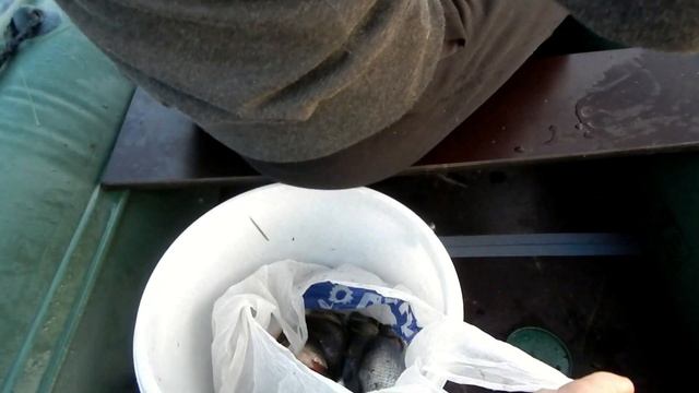 Волхов и разливы. рыбалка в июне. смотреть онлайн