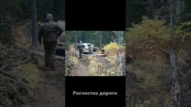 ПУТЬ К КИТАМ | ТУР НА ШАНТАРСКИЕ ОСТРОВА смотреть онлайн