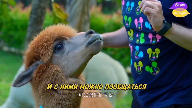 Остров Учжичжоу, Китай смотреть онлайн