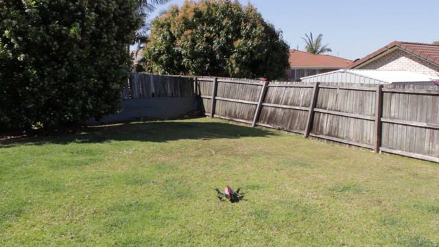 Review: Parrot AR Drone 2.0 смотреть онлайн