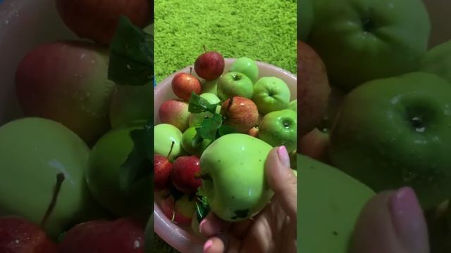 Рождество Пресвятой Богородицы. Обряды и ритуалы . О чем просить в этот день смотреть онлайн