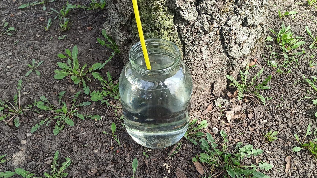 ЖИЗНЬ В СЕЛЕ