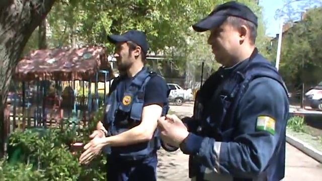 вороны напали на детей смотреть онлайн