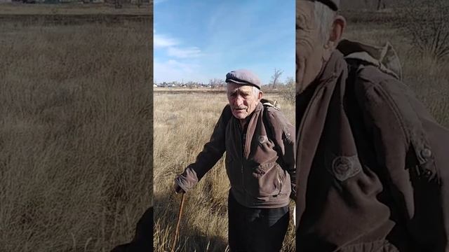 Грибник дядя Вася каждый день ходит за грибами ему 83года смотреть онлайн