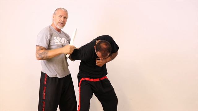 SAMI Knife - Pre-Defense Serie 07 Application with Disarming (SAMICS Daily Training) смотреть онлайн