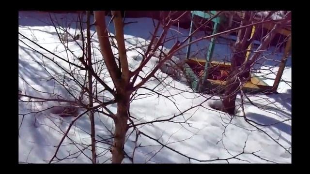 Валерий Железов. Это надо знать молодежи. смотреть онлайн