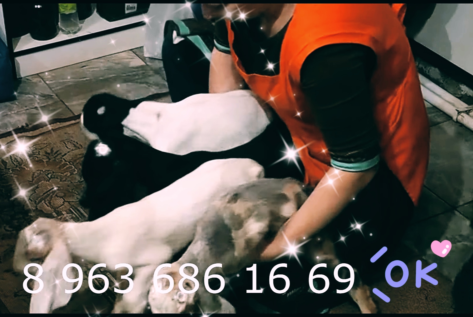 ТАКИХ КОЗЛЯТ НЕ ПРОДАЮТ.mp4 смотреть онлайн