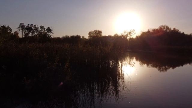 Осенний сон