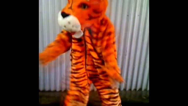 миша колбасер(тигра танцорсер-малиновый сон 2) смотреть онлайн