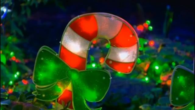 Christmas world record: Australian family rig 502,165 lights смотреть онлайн