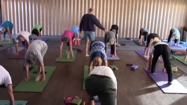 Divine Joy Yoga Hatha Yoga Class #26