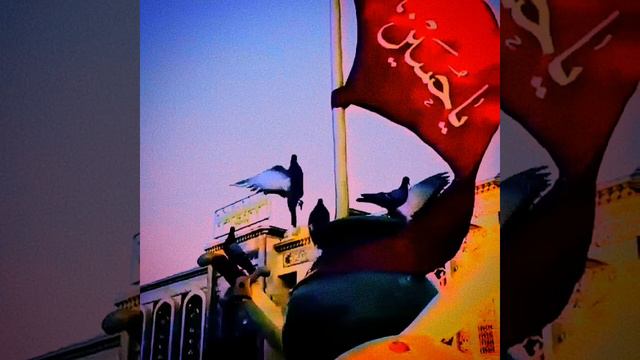 Aləmin dərdinə dərmandı ağa / Bager Mansouri смотреть онлайн