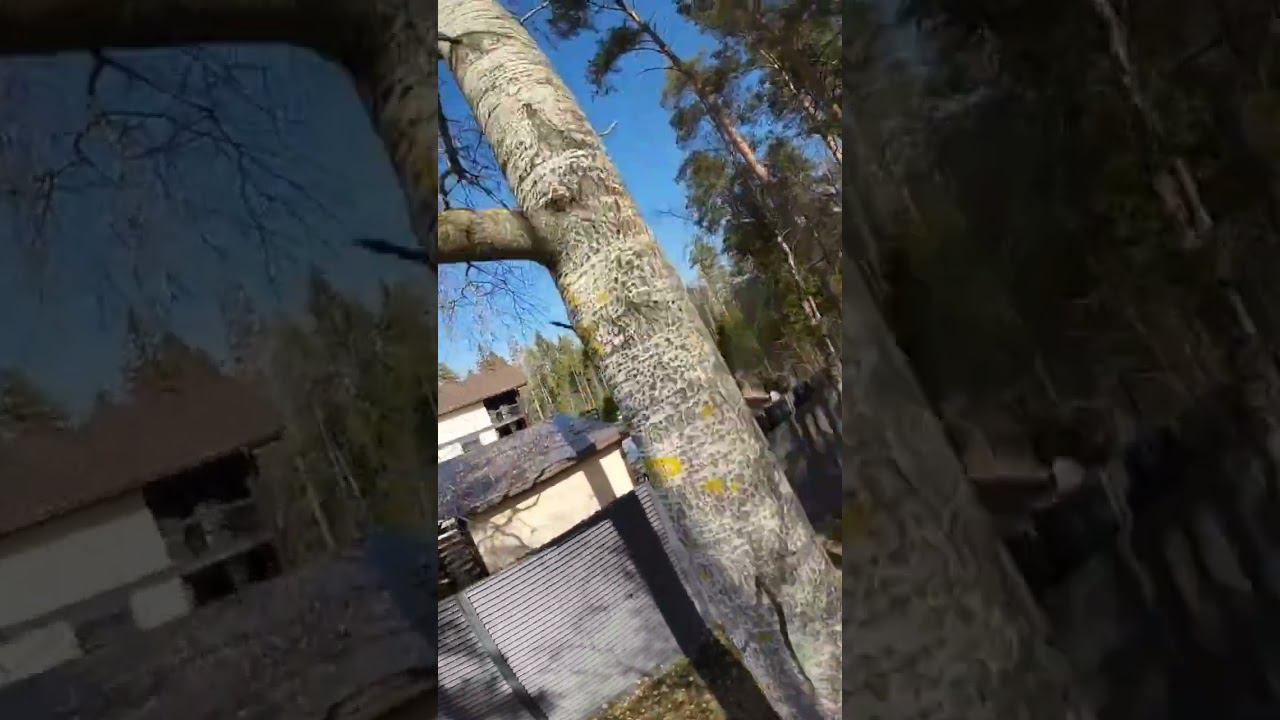 С горем пополам трипписпин... смотреть онлайн
