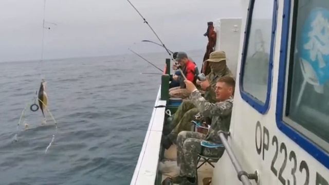 ловим камбалу во Владивостоке, и не только)) запись по телефону 89245246006 смотреть онлайн