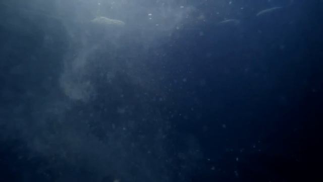 What Was The "Boring Billion" Really Like? смотреть онлайн