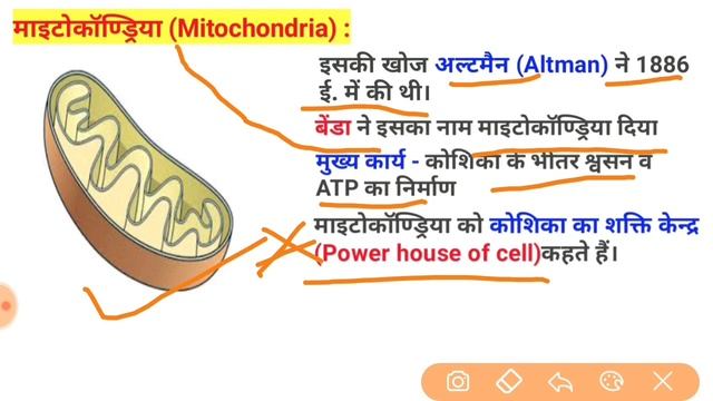 CELL (कोशिका विज्ञान) | BIOLOGY in hindi | previous year questions | STUDY VINES | GK TRICKS | смотреть онлайн