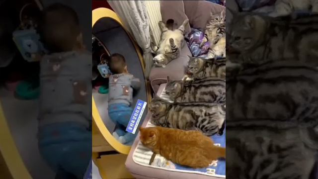 Когда решили завести себе ребёночка смотреть онлайн