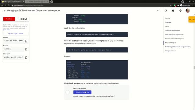 Managing a GKE Multi tenant Cluster with Namespaces | Qwklabs | GSP766 смотреть онлайн