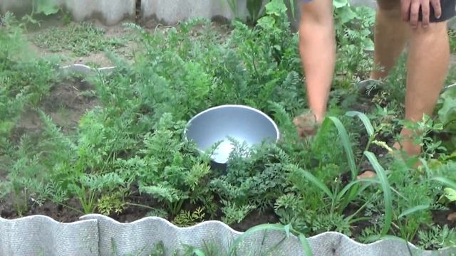 ЛОВЛЯ НОЧНЫХ ЛЕЩЕЙ.БОЛЬШОЙ ЛЕЩ ПРОСТО БОМБА!!!!!!! смотреть онлайн