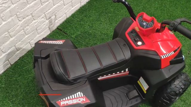 Купить детский квадроцикл RiverToys T111TT в интернет магазине Pushishki.ru смотреть онлайн
