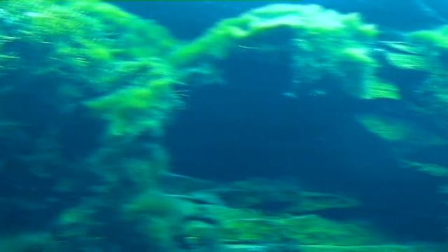 ДАЙВИНГ ГОЛУБОЕ ОЗЕРО КАЗАНЬ смотреть онлайн