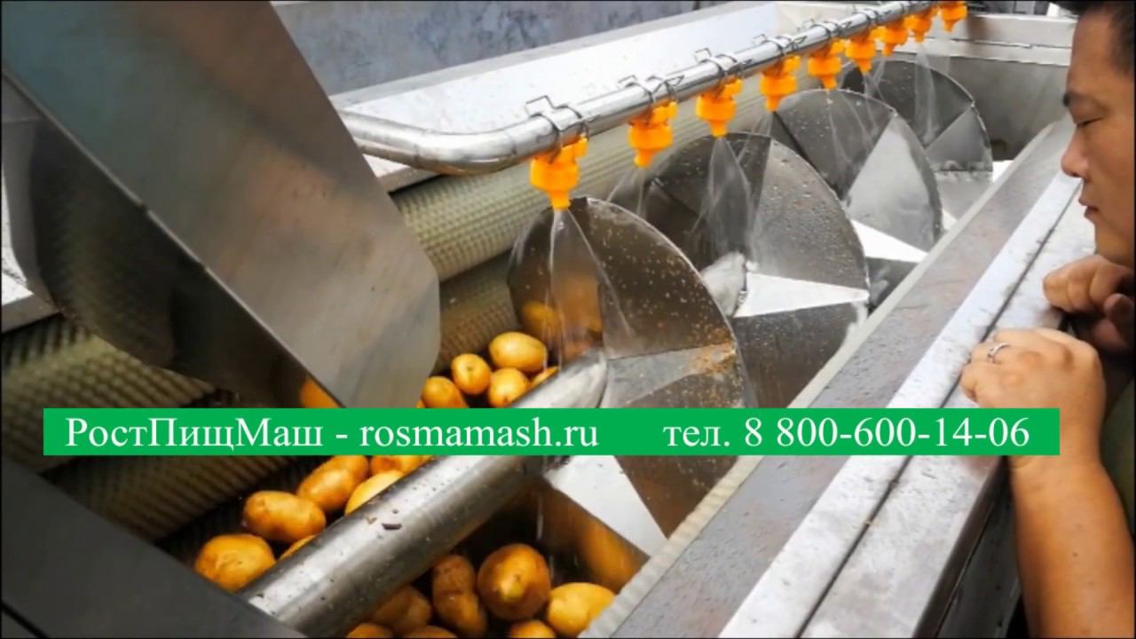 Машины щеточные для мойки корнеплодов GB2600 от РостПищМаш смотреть онлайн