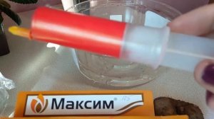 Клубни глоксиний из магазина, как правильно посадить.