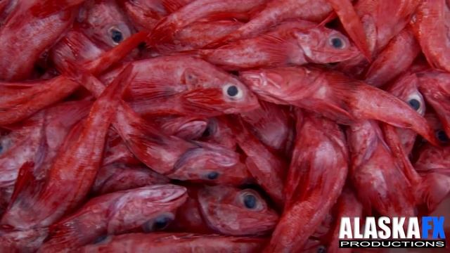 Dory Fleet fish market in Newport Beach, California смотреть онлайн