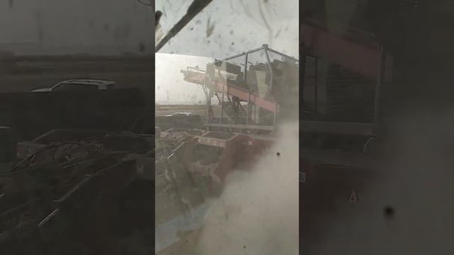 уборка сахарной свеклы