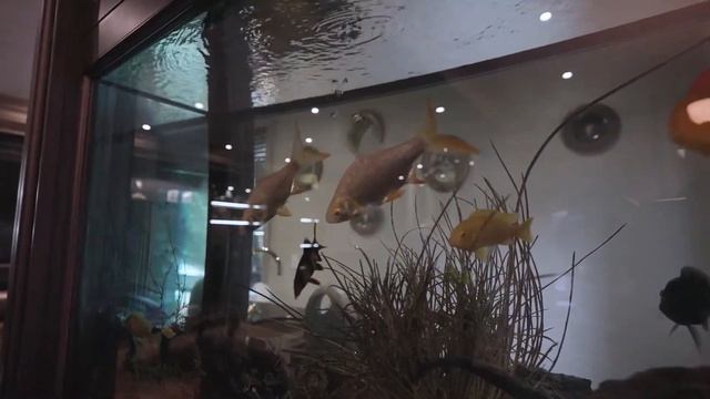 57 Renaissance Court смотреть онлайн