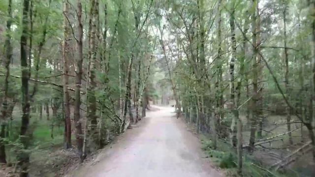 Неопалимая купина, 2 сезон, дата выхода смотреть онлайн