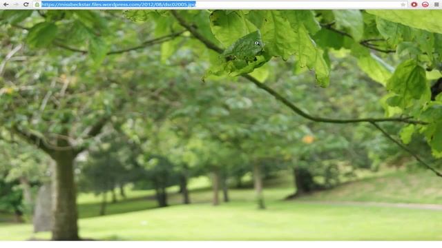 Build a One Page OR Single Page WordPress Website - PART 3 Editing the theme смотреть онлайн