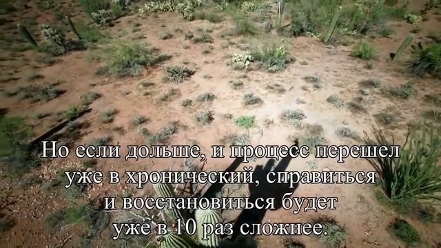 Не ароматный мир Куда пропадает обоняние и как его вернуть — Статья смотреть онлайн