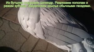 Мастер класс  Белый павлин из пластиковых бутылок своими руками