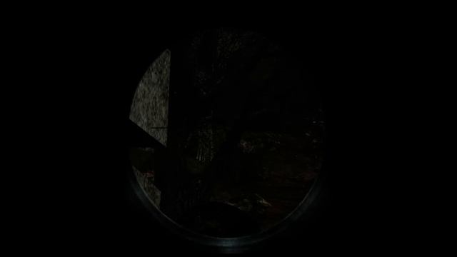 Награда Волка за ЧА или Фанат ворюга))) STALKER NS смотреть онлайн