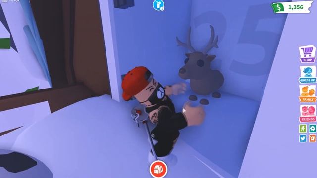 Купил пряничный дом в Адопт ми! Обновление GINGERBREAD Adopt Me! ROBLOX Adop Me