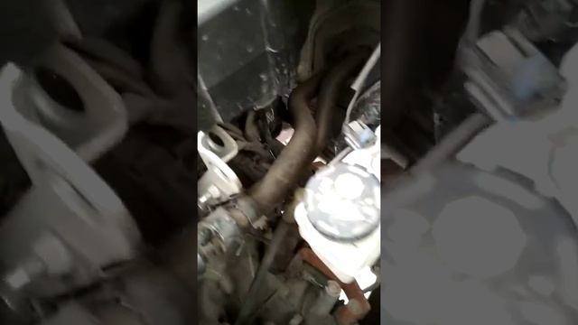 Осмотр под капотом Рено Логан 2 смотреть онлайн