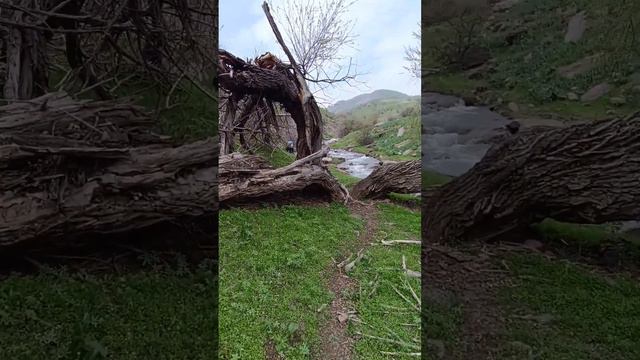 #uzbekistan #узбекистан #узбек #uzbek #таваксай #азадбаш #travel #trekking смотреть онлайн