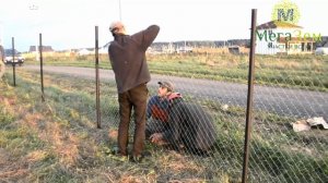 Какая стоимость забора из сетки-рабицы от компании МегаЗем?