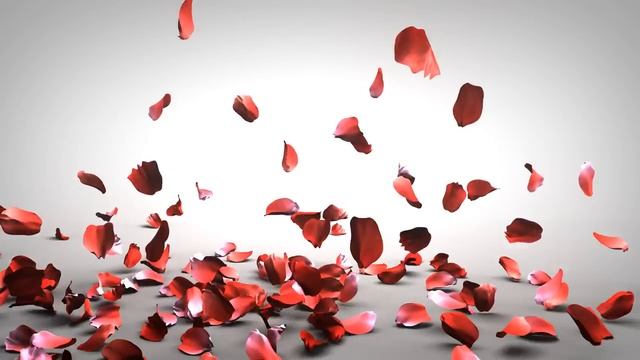 Falling Rose Petals