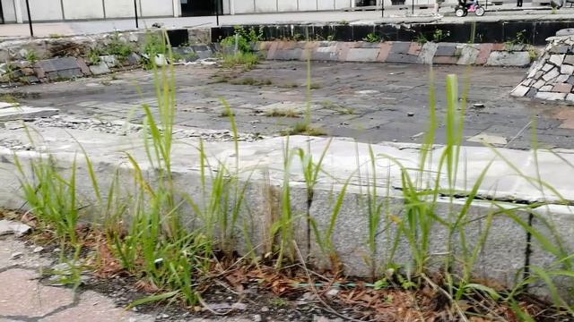 Позор детского музыкального театра Натальи Сац #Безслов смотреть онлайн