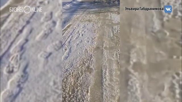 Бобры затопили деревню в Мензелинском районе Татарстана смотреть онлайн